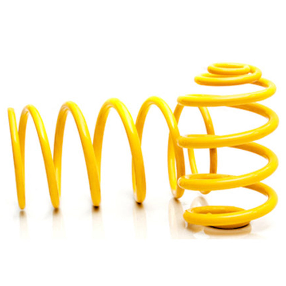 2x King Springs RAISED COMFORT COIL SPRINGS 100-250KG For TOYOTA LANDCRUISER 100