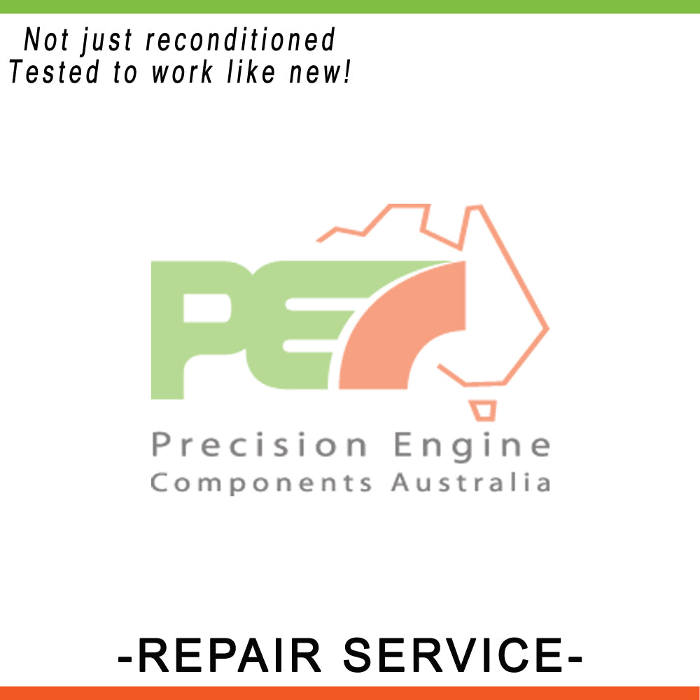 Body Control Module (BCM) Repair Service By PEC For HSV Coupe V2 5.7L